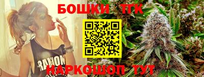 МДПВ Славгород