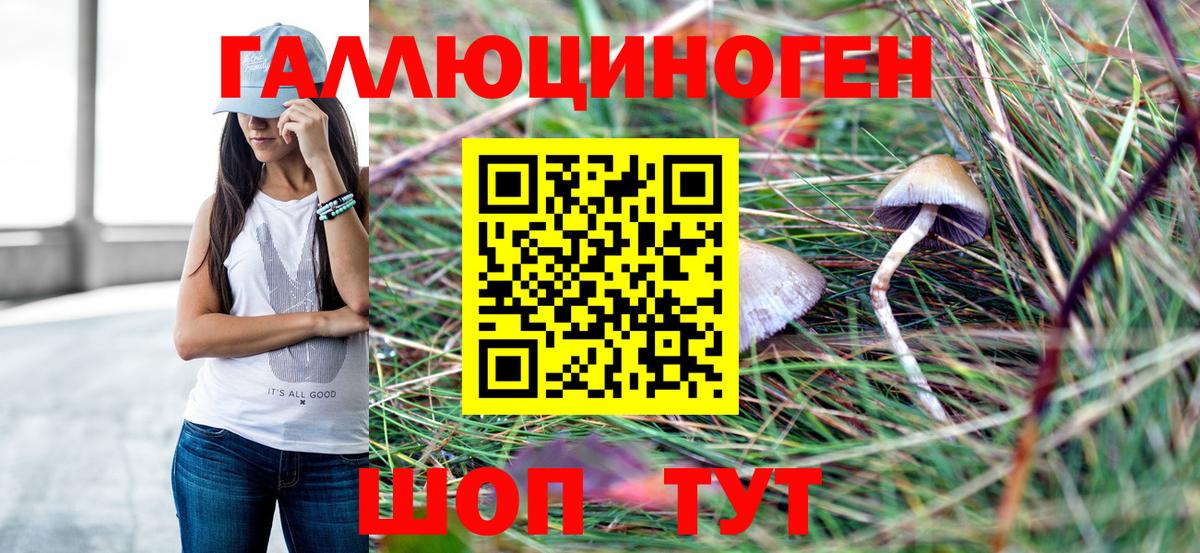 Москва  Псилоцибиновые грибы MAGIC MUSHROOMS  Вход с VPN  Псилоцибиновые грибы GOLDEN TEACHER 